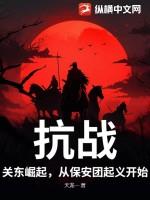 抗日保安团全集天下