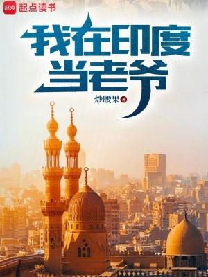 我在印度当老爷 起点中文网