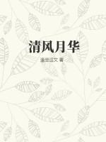 清风月华全文免费阅读