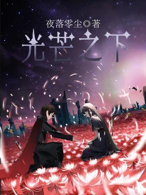 光芒13集