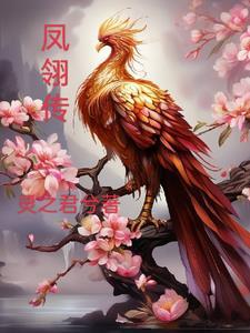 凤翎传gl