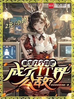 重生开网吧的