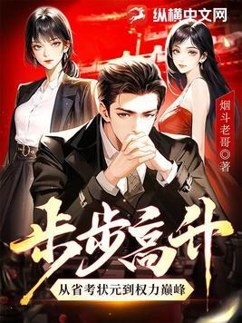 步步高升从省考状元到权力巅峰TXT