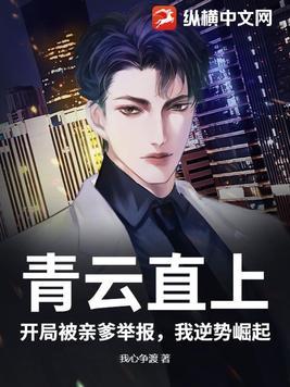 青云直上免费阅读全文