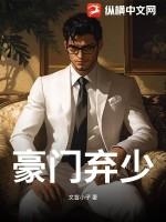 豪门弃少叶天