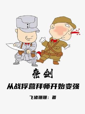 亮剑俘虏乐队第几集