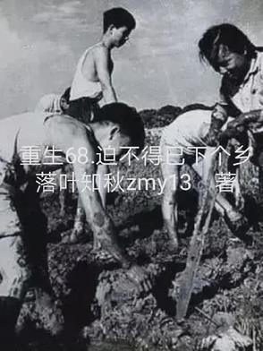 重生六八迫不得已下乡