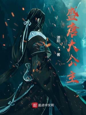 大唐公主什么意思