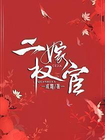 二嫁权宦宋多银TXT
