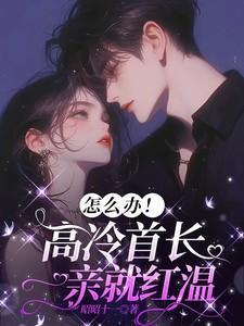 高冷首席no.1免费阅读