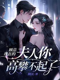 夫人顾总今天真的出发去墨尔本了