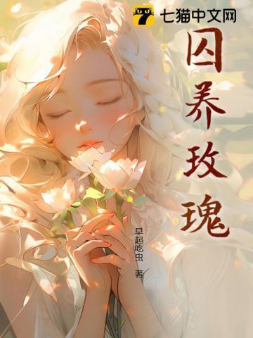 玫瑰囚笼菠萝笔记