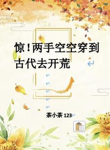 两手空空下句是什么