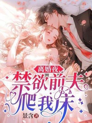 离婚夜禁欲前夫爬我床