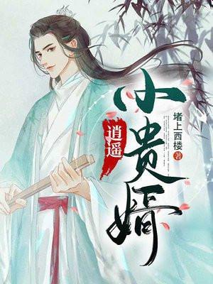 逍遥小贵婿奚帷真实身份