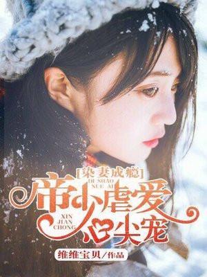 染爱成婚战少宠妻上瘾