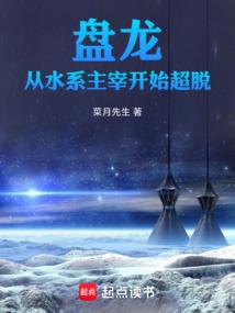 盘龙系统列类