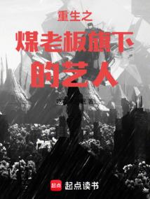 重生嫁煤老板