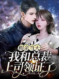 相亲对象是总裁上司的