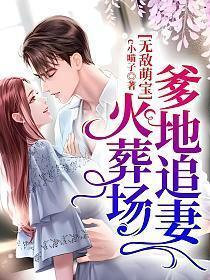 无敌萌宝爹地追妻火葬场短剧
