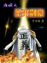 海贼圣光剑豪TXT