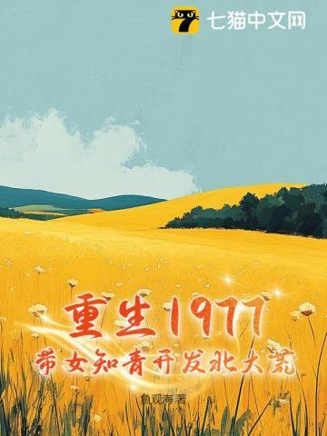 重生1977从知青