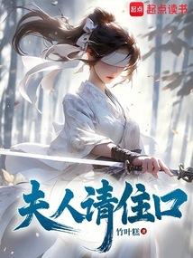夫人请住手简介