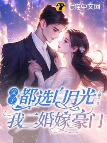 我二婚嫁豪门纵横