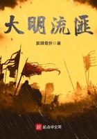 大明流匪123读