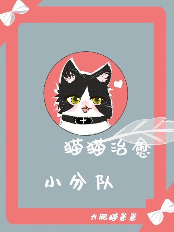 猫 治愈系