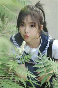 唐绵沈铖