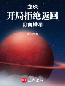 龙珠开局成为贝吉特