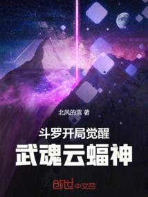 斗罗开局觉醒武魂云蝠神夜云