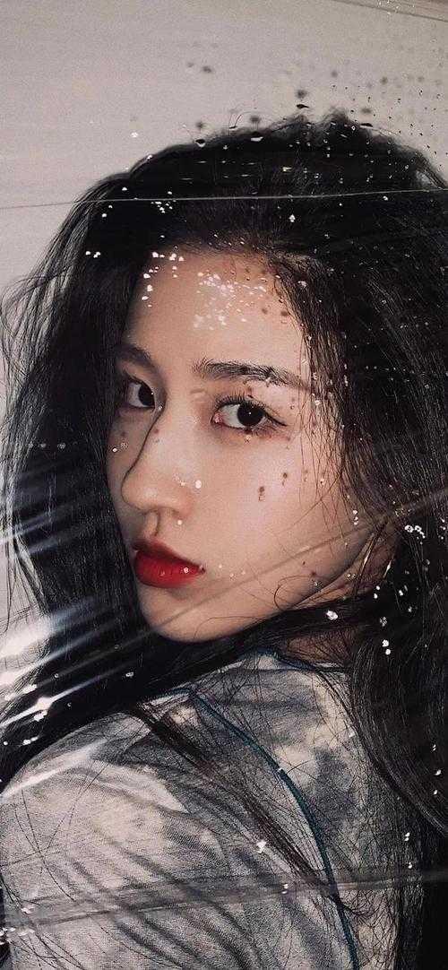 苏晨