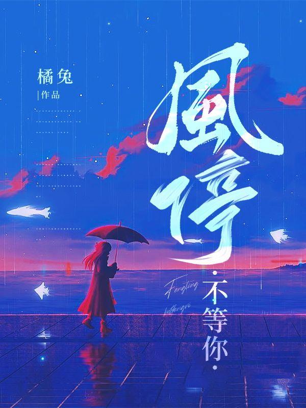 风停了雨停了我的泪不停是什么歌曲