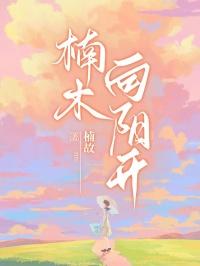 楠木向北2