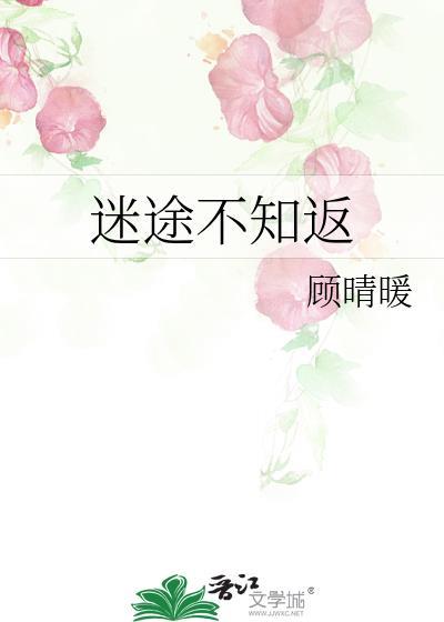 迷途不知返的