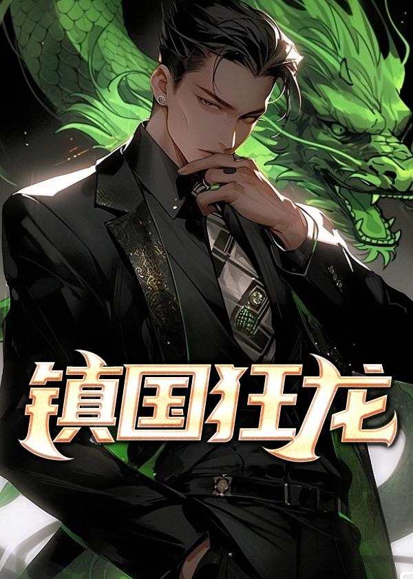 镇国狂龙28