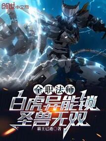 全职法师兽的等级