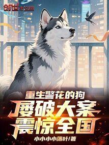 屡破大案震惊全国书评详情