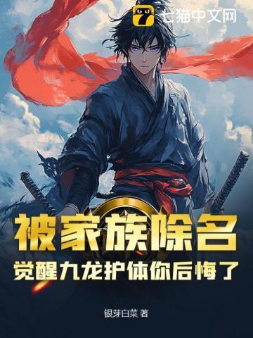 九龙系统