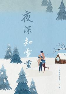 夜深知雪重全集免费观看