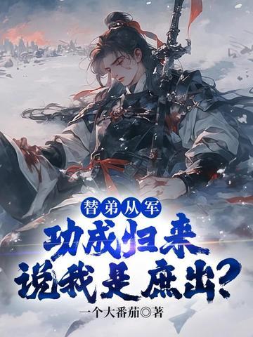 替弟出嫁夫君是断袖