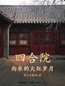 四合院之火红岁月