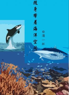 随身带着海洋珠txt