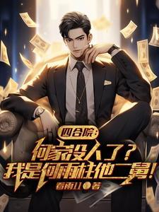 四合院我傻柱决不接锅