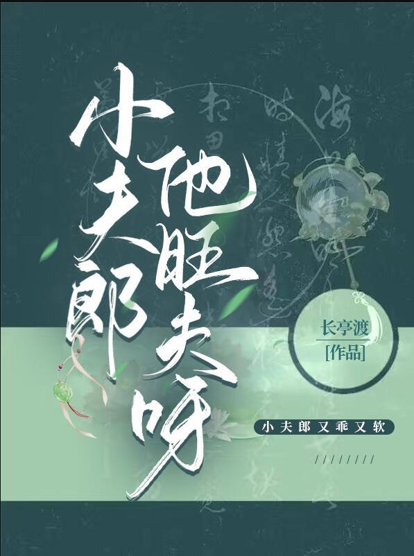 小夫郎他旺夫呀简介