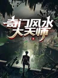 奇门风水大天师TXT免费奇书网