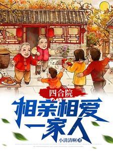 四合院的电视
