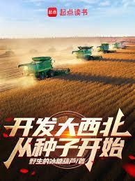 开发大西北是哪里